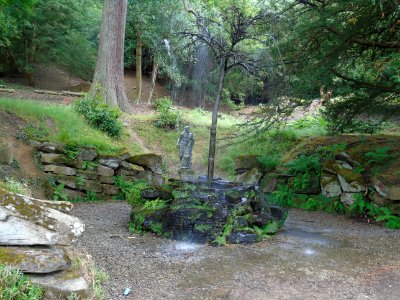 DSC00736