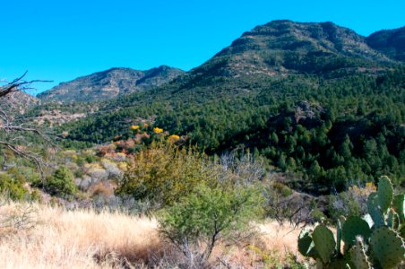 Flume Trail