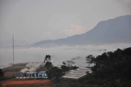 DSC 0310