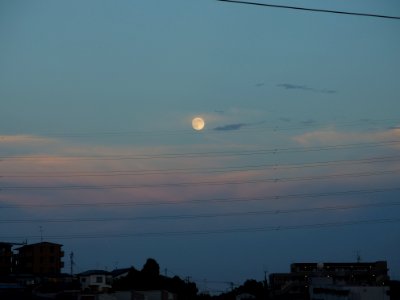 20130820 181640-P8200291