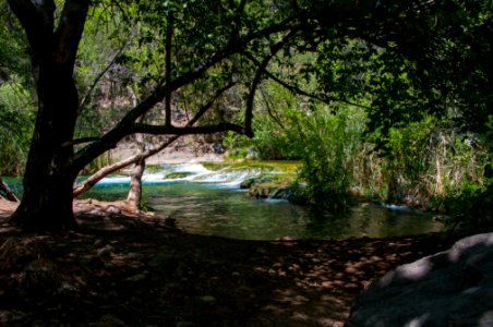 Waterfall Trail on Fossil Creek