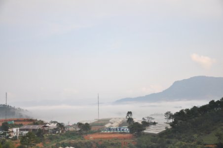 DSC 0299