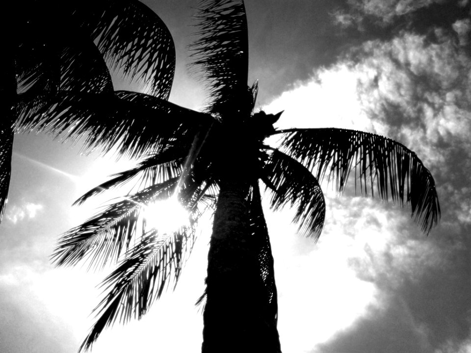 Here Comes The Sun