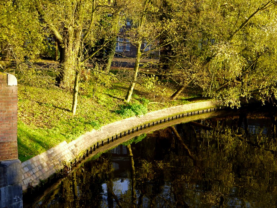 Sunlight and reflections of the trees in Fall, Amsterdam city, along the street Sarhpatistraat; on the border of the old city center of Amsterdam; urban photography, Fons Heijnsbroek 2013