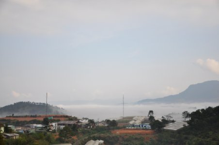 DSC 0307