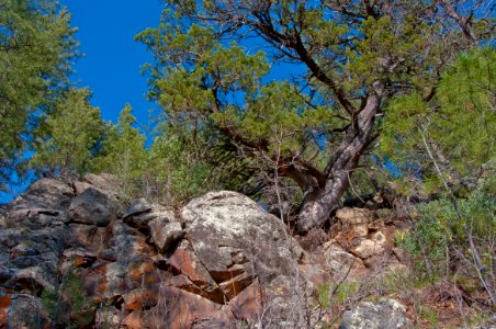 Kelsey Trail