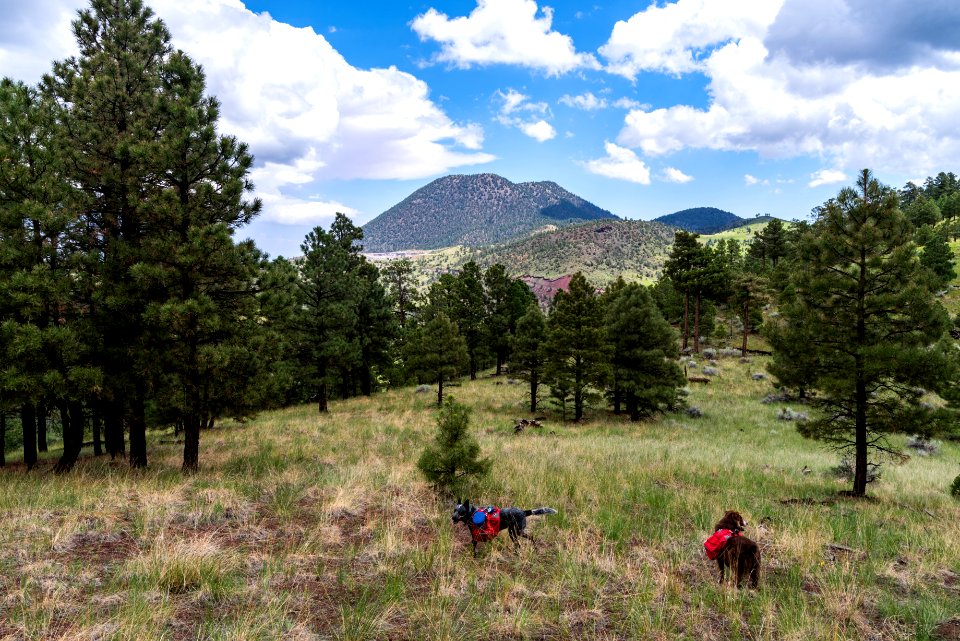 Crater Hike (August 26, 2018)