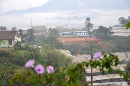 DSC 0340