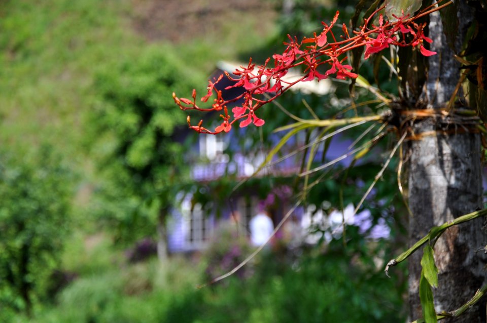 DSC 0447