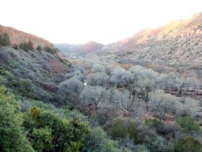 Parsons Trail