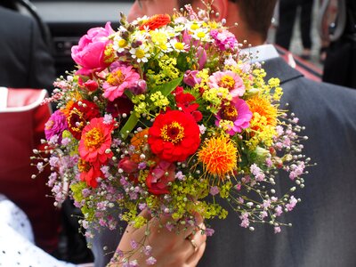 Groom wedding marry