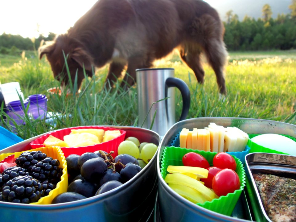 Picnic Dinner at Schultz Tank