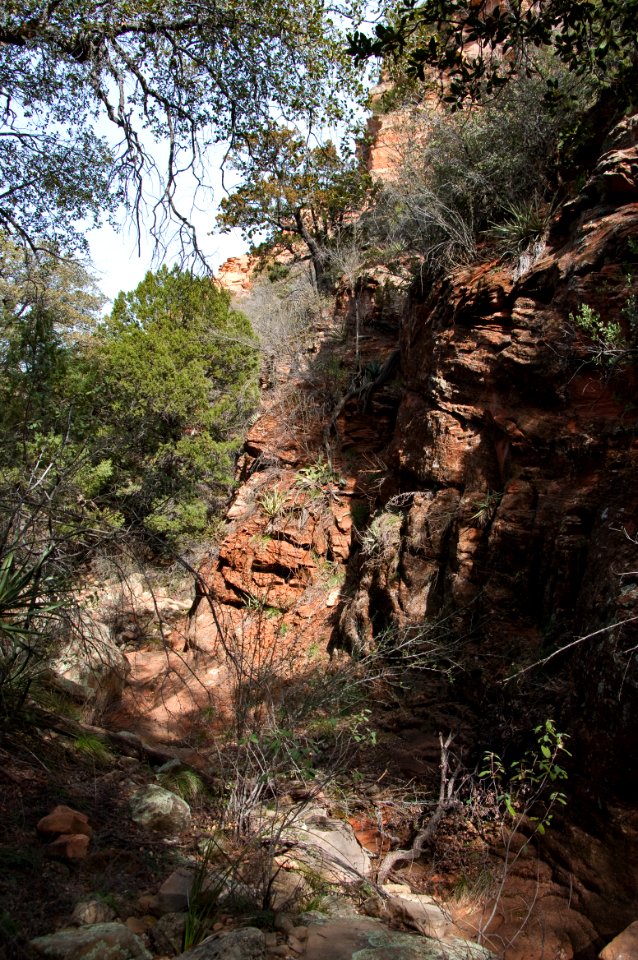 Loy Canyon Trail