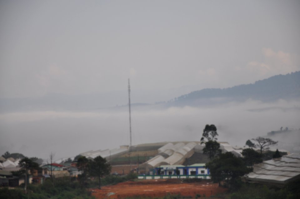 DSC 0308