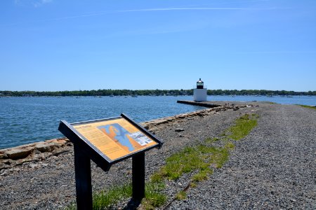 DSC 0431