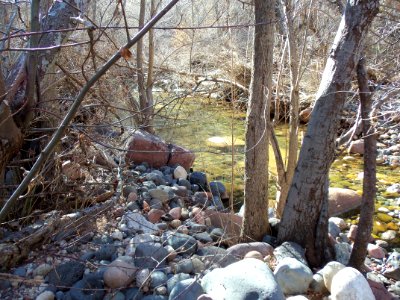 Parsons Trail