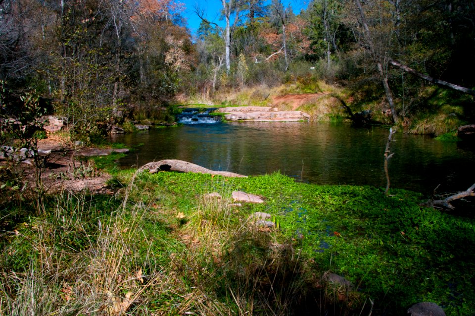 Fossil Springs Wilderness: Springs Area