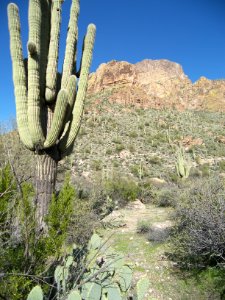 Superstition Wilderness