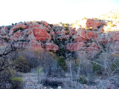 Parsons Trail