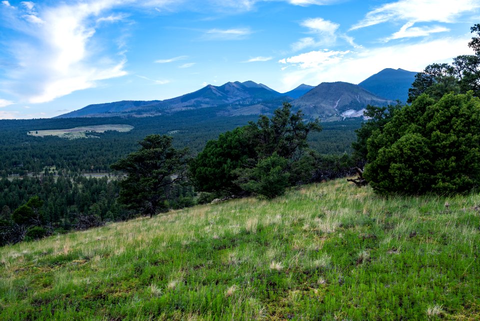San Francisco Peaks