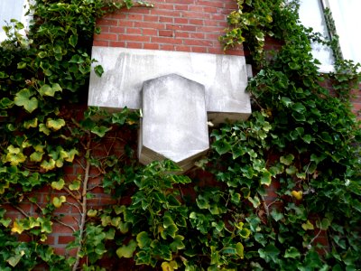 2013.04 - 'A close-up view of a characteristic stone facade decoration', in a collage of ivy-bushes and the brick facade of social housing blocks, in the light of a gray day in Spring - in Amsterdam city photo - urban photography Fons Heijnsbroek