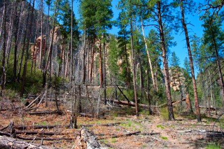 Secret Canyon Trail