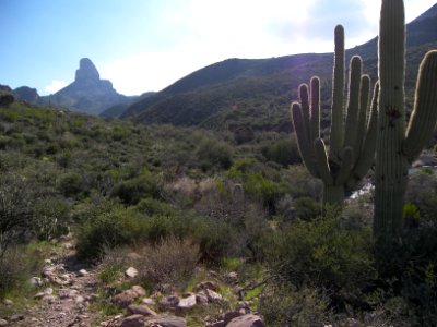 Superstition Wilderness
