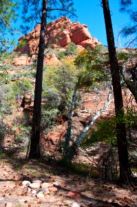Secret Canyon Trail