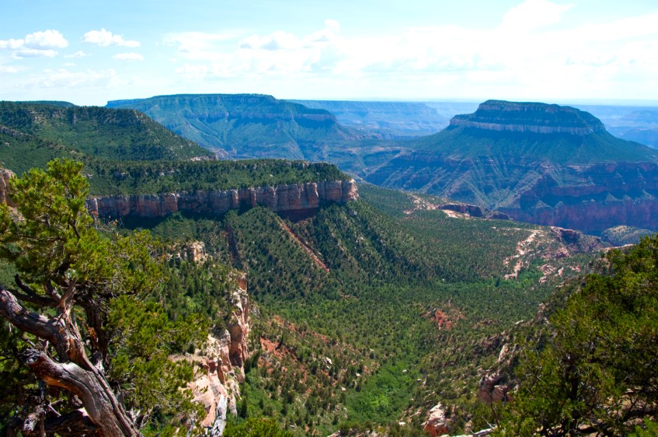 Rainbow Rim Trail