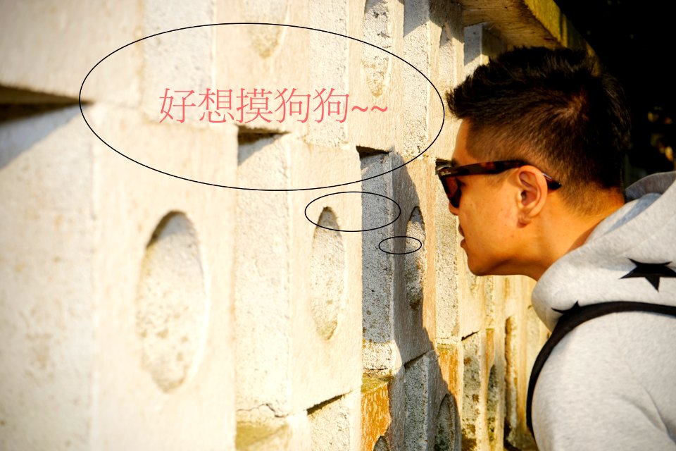  DSC9294 拷貝