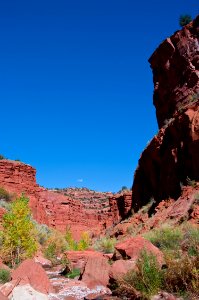 Starlight Canyon