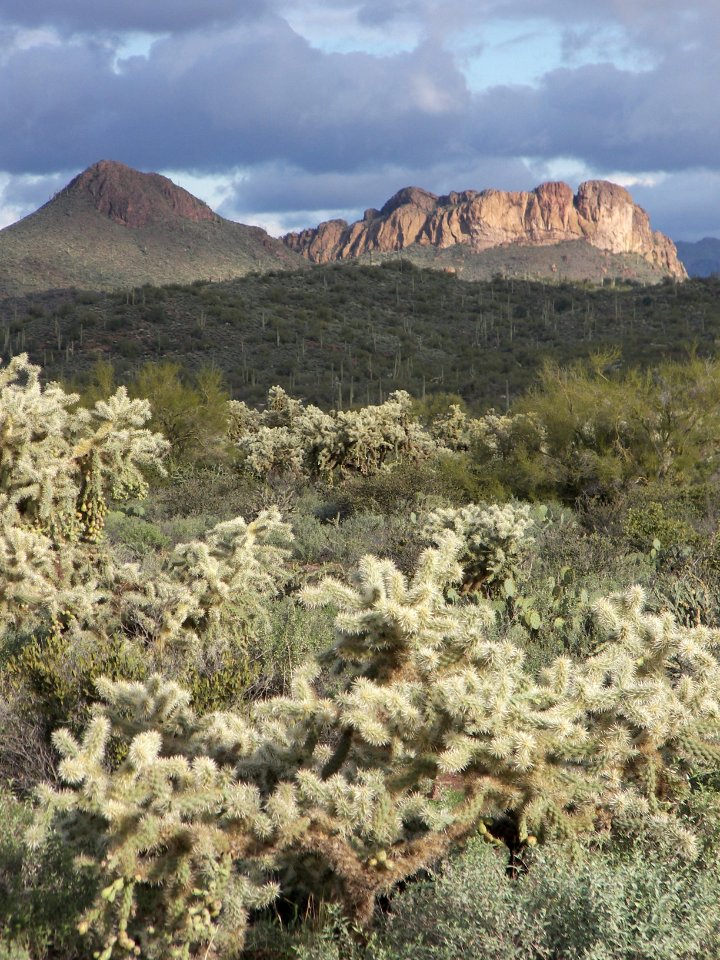 Superstition Wilderness