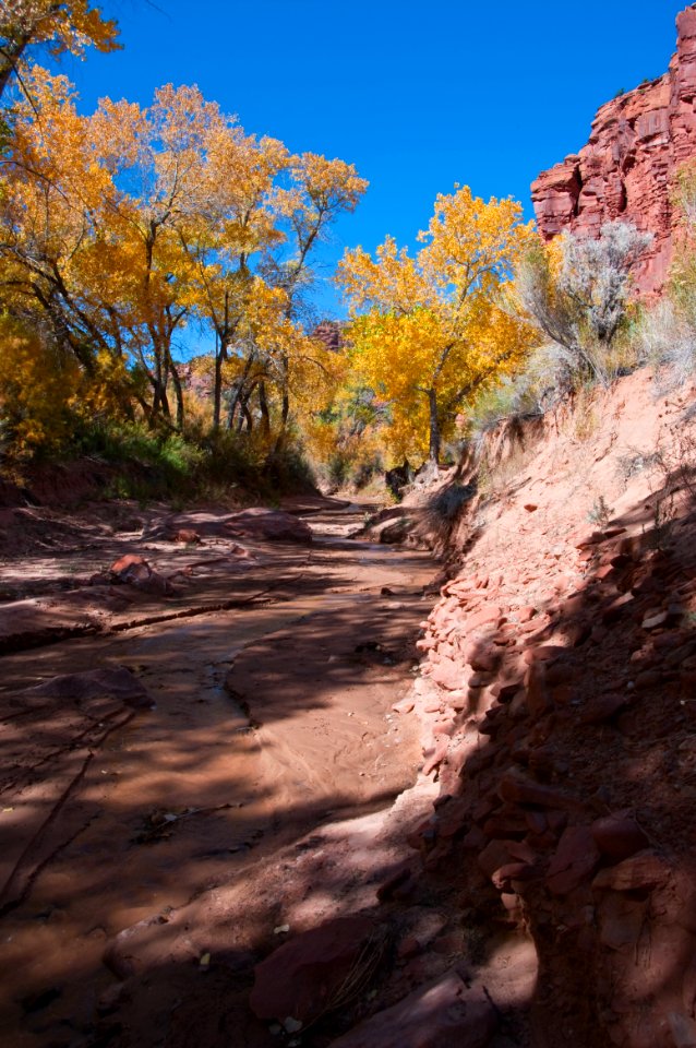 Kitchen Canyon