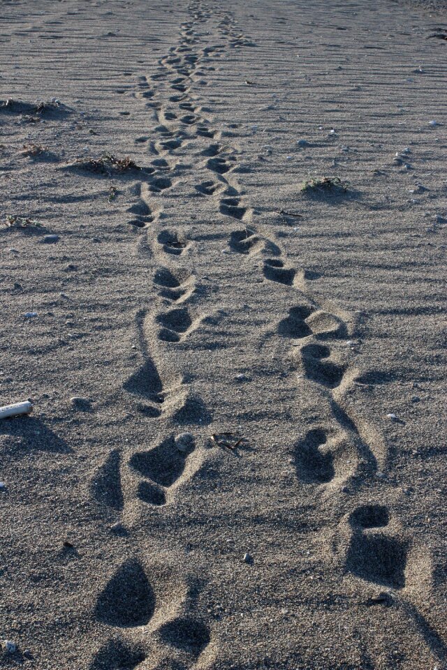 Trail passage beach