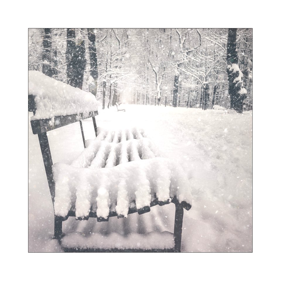Snow avenue.