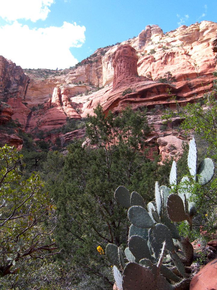 Fay Canyon Trail