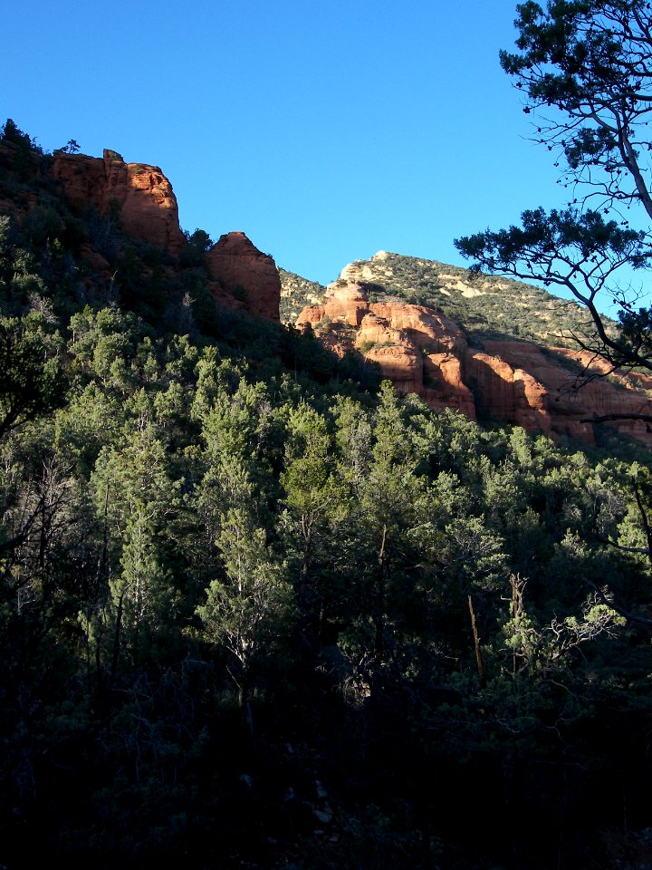 Bear Sign Trail