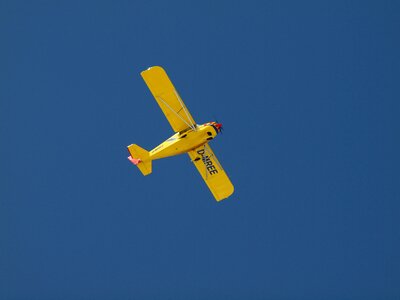 Blue yellow flyer
