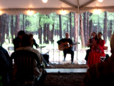 Flamenco Concert