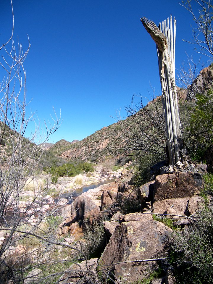 Superstitions: Boulder Canyon