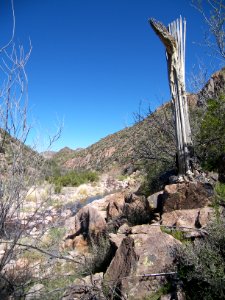 Superstitions: Boulder Canyon photo