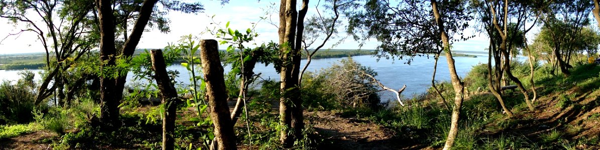 Una dianoche en Paraná photo