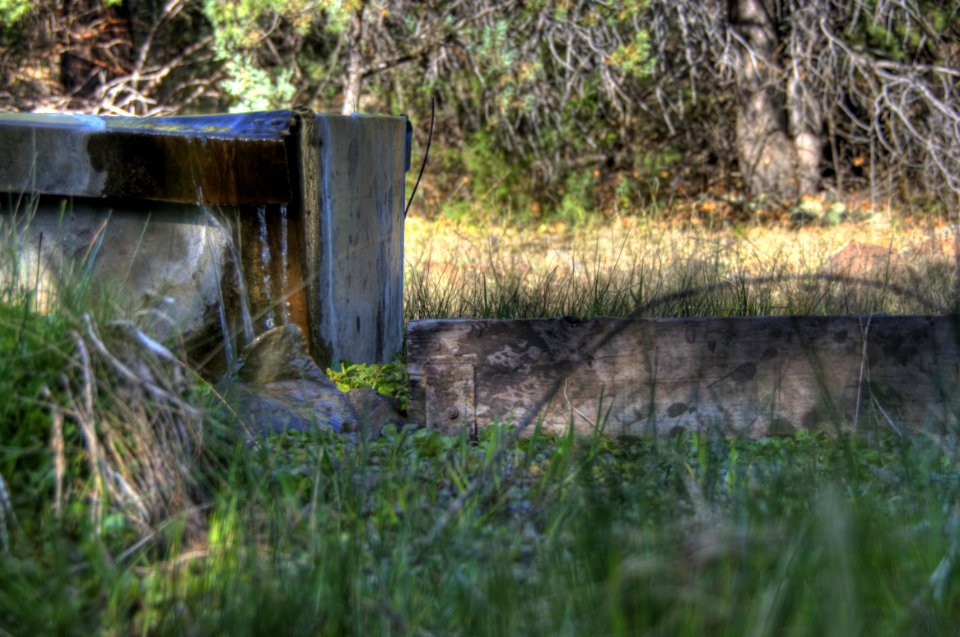 Kelsey Trail