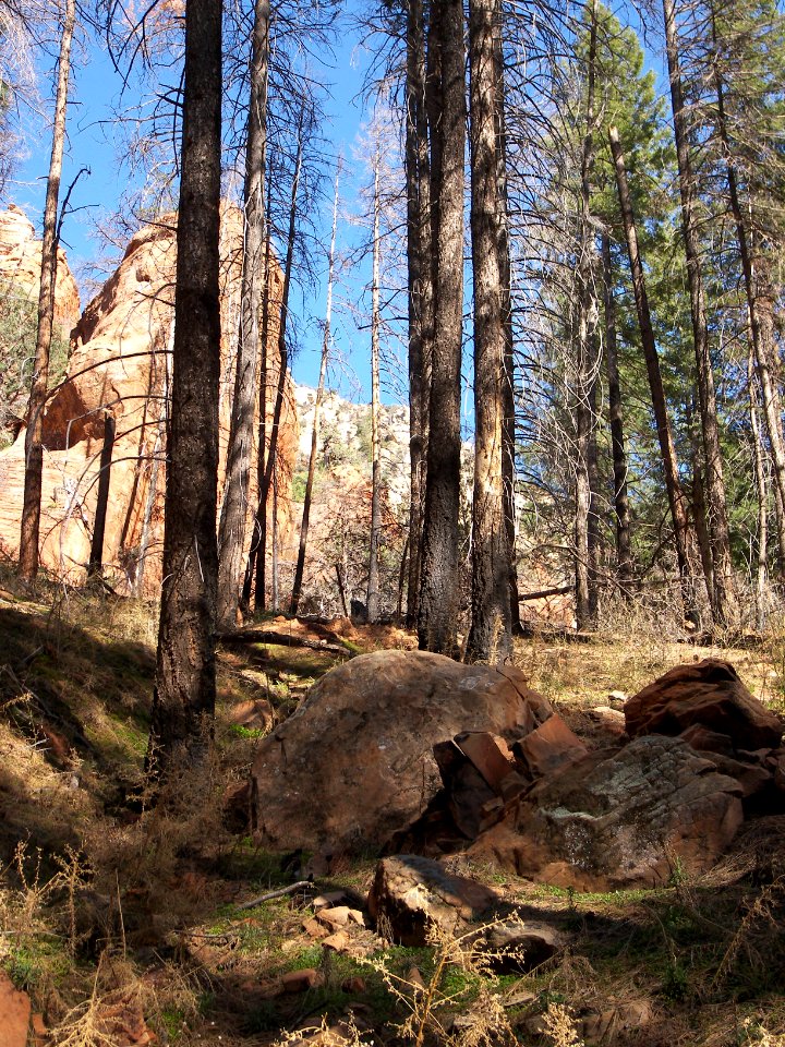 Vultee's Arch-Sterling Pass Trail Hike