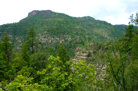 Little L.O. Trail No. 6