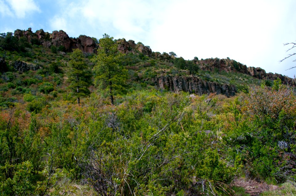 Kelsey Trail No. 3