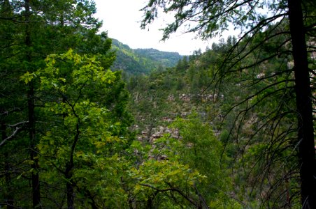 Little L.O. Trail No. 6