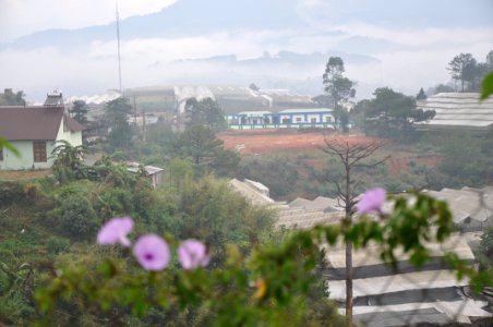 DSC 0339