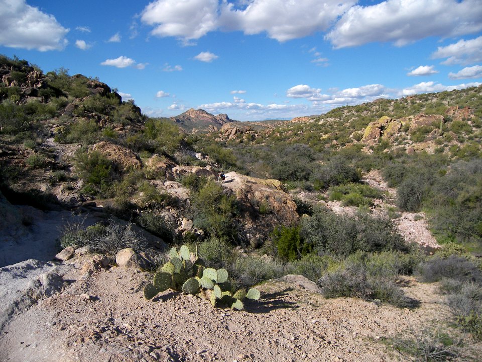 Superstition Wilderness: Dutchmans Trail