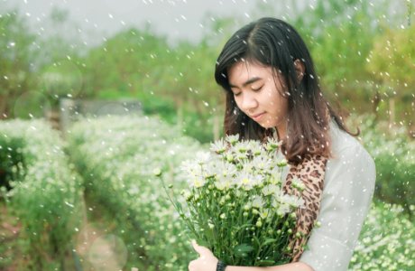 Hoa mi trong tuyet